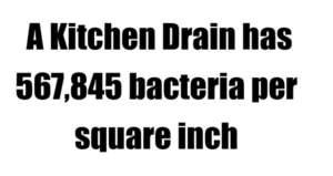 kitchen bacteria removal