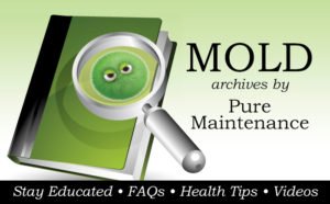 mold archives pure maintenance
